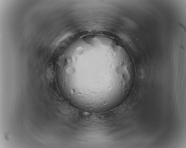 X0000103501063200809191940