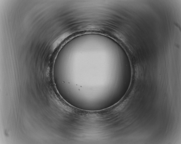 X0000103501066200809191940