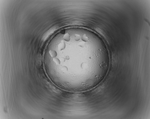 X0000103501067200809191940