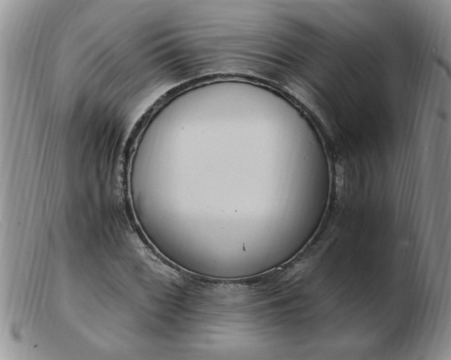 X0000103501068200809191940