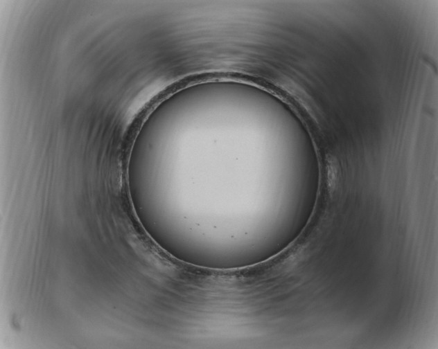 X0000103501069200809191940