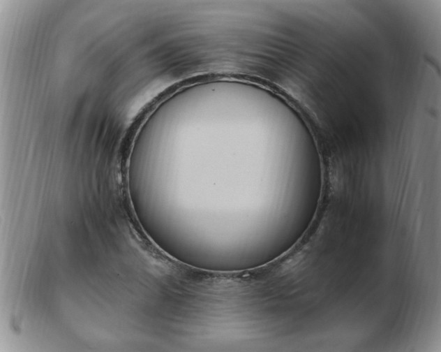 X0000103501070200809191940