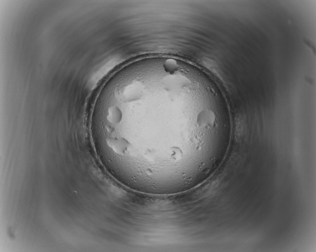 X0000103501071200809191940