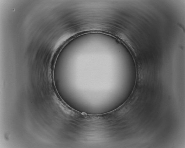 X0000103501072200809191940