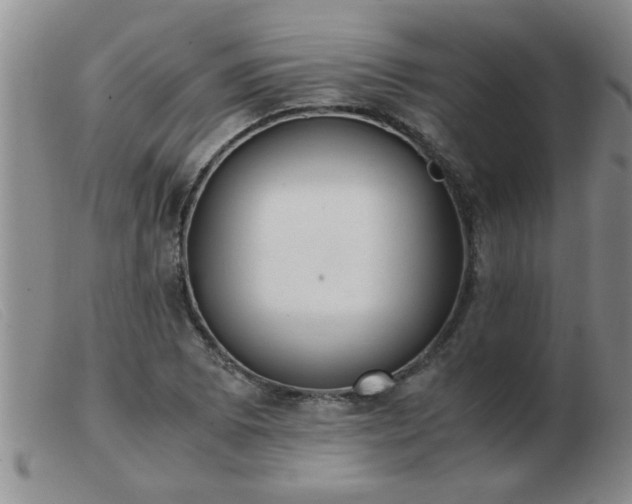 X0000103501073200809191940