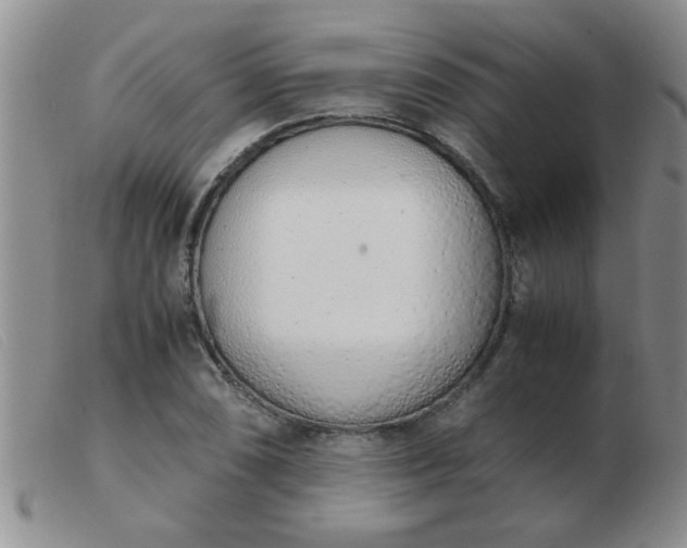 X0000103501074200809191940