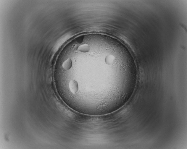 X0000103501075200809191940