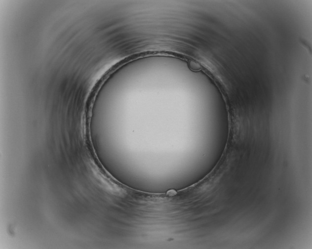 X0000103501076200809191940