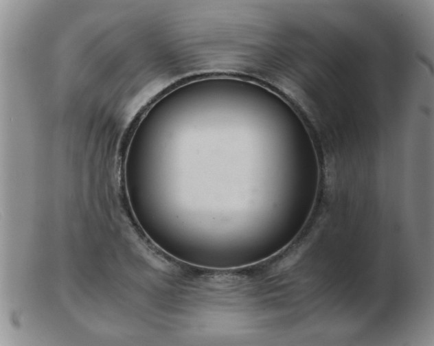 X0000103501077200809191940