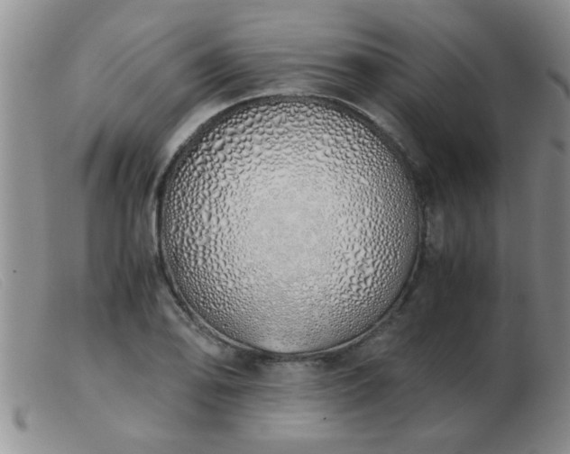 X0000103501078200809191940