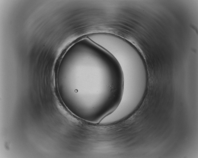 X0000103501080200809191940