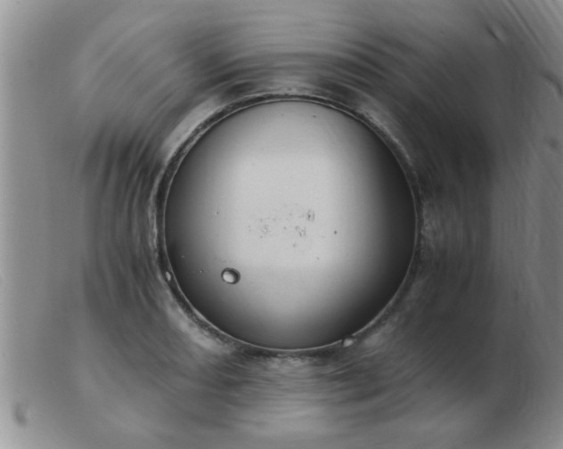 X0000103501082200809191940