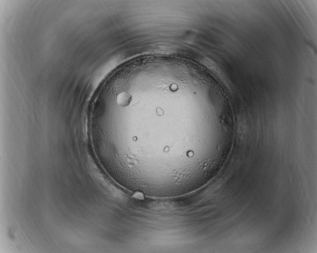 X0000103501083200809191940