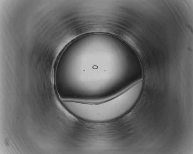 X0000103501084200809191940