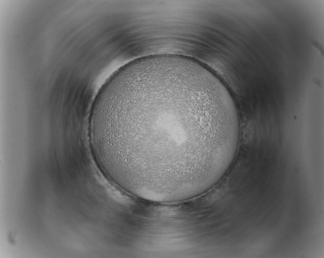 X0000103501086200809191940