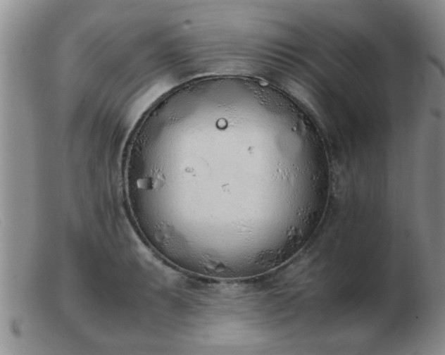 X0000103501087200809191940