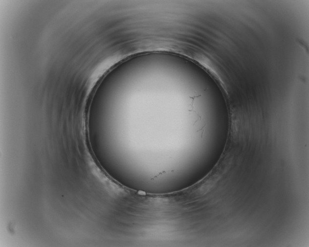 X0000103501088200809191940