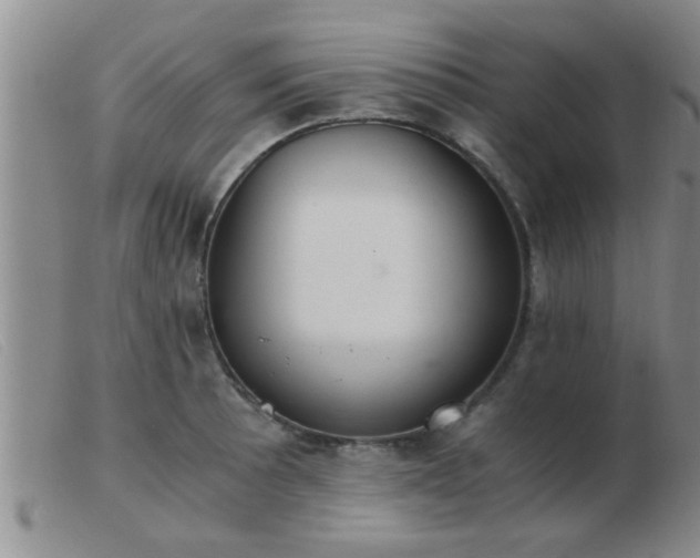 X0000103501089200809191940