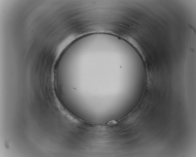 X0000103501096200809191940