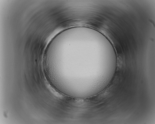 X0000103501098200809191940