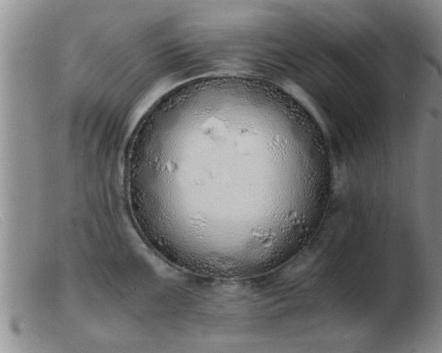 X0000103501099200809191940