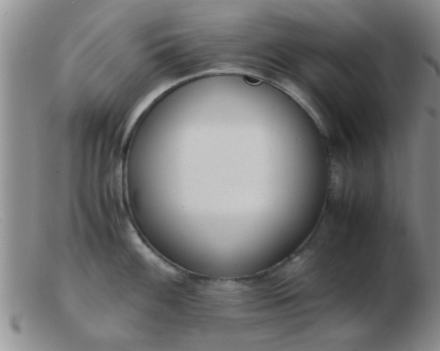 X0000103501100200809191940