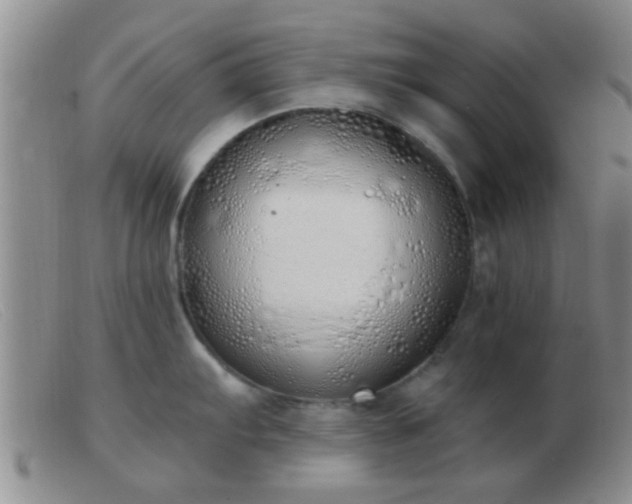 X0000103501103200809191940