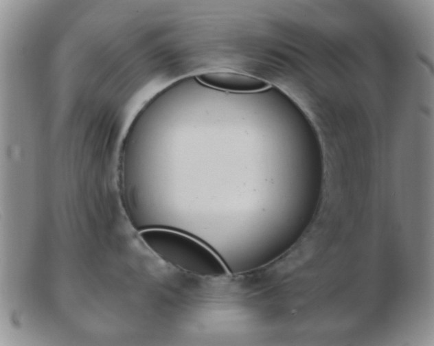 X0000103501104200809191940