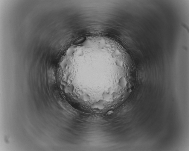 X0000103501106200809191939