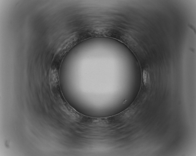 X0000103501107200809191939