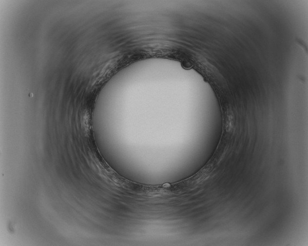 X0000103501108200809191939