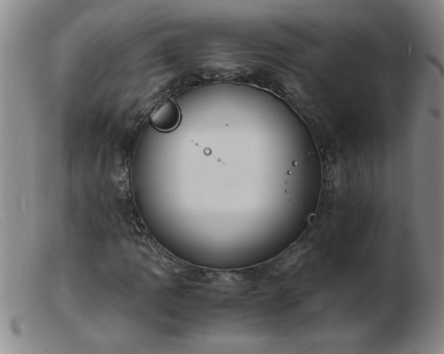 X0000103501109200809191939