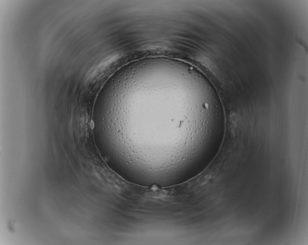 X0000103501111200809191939