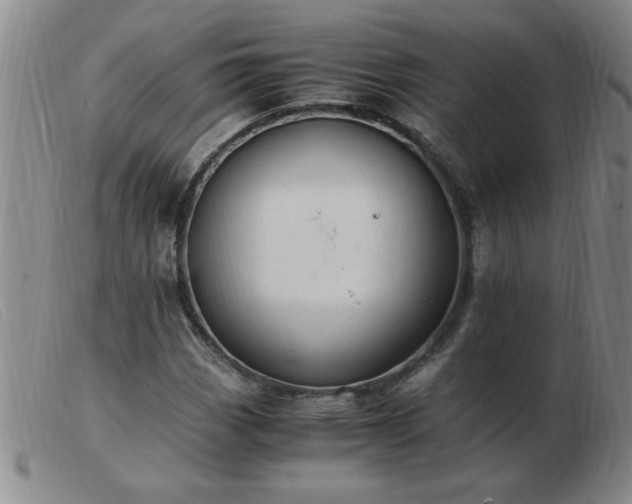 X0000103501113200809191939