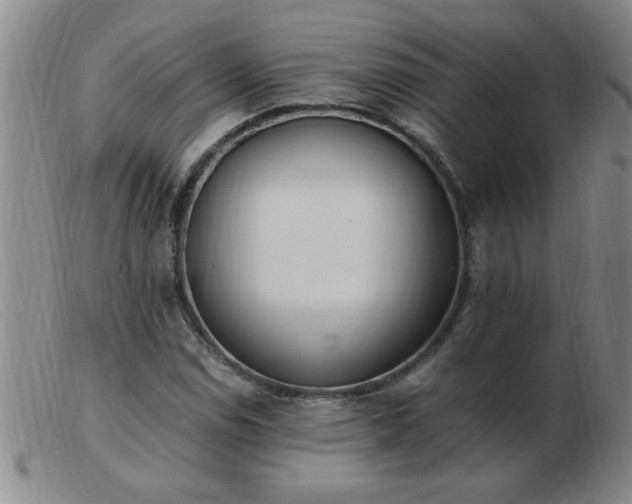 X0000103501114200809191939