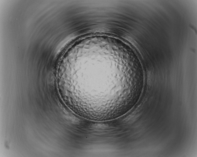 X0000103501115200809191939