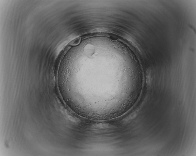 X0000103501117200809191939