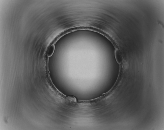 X0000103501118200809191939