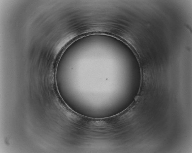 X0000103501119200809191939