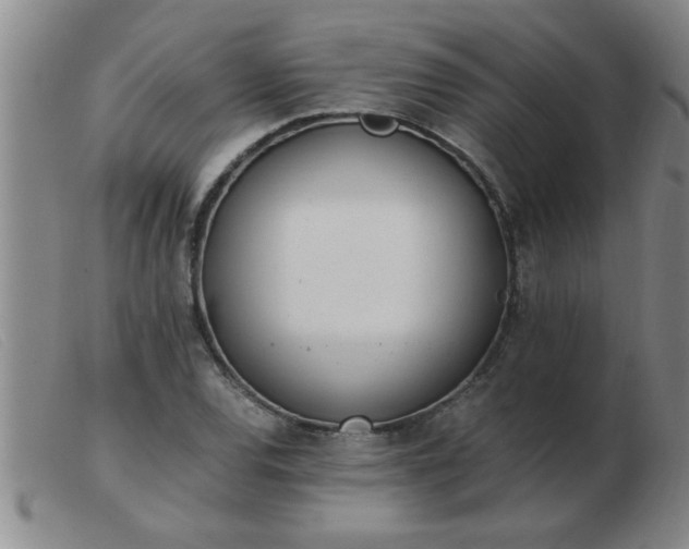 X0000103501120200809191939