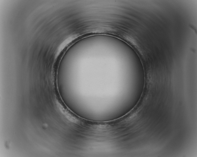 X0000103501122200809191939