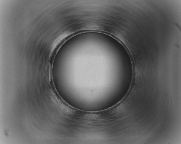 X0000103501123200809191939