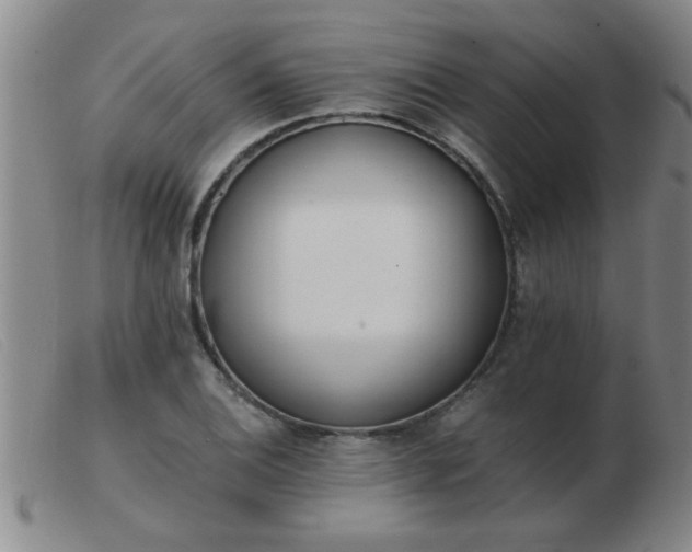 X0000103501124200809191939