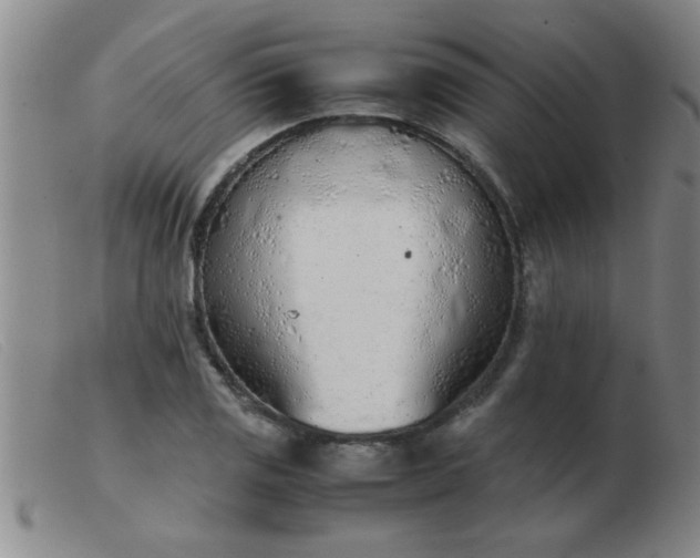 X0000103501125200809191939