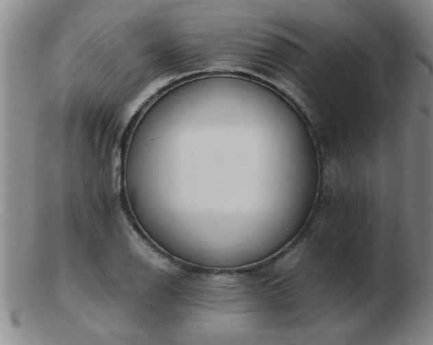 X0000103501126200809191939