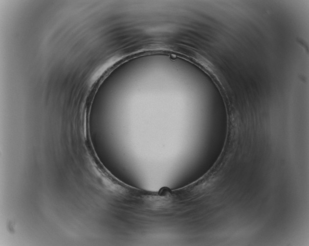 X0000103501127200809191939