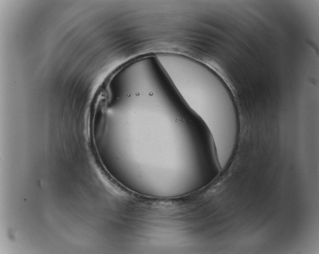 X0000103501128200809191939