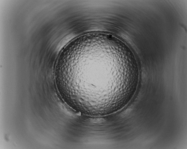 X0000103501129200809191939