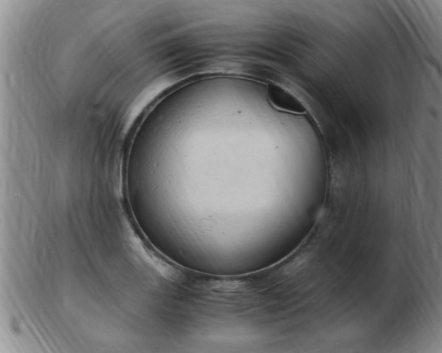 X0000103501131200809191939