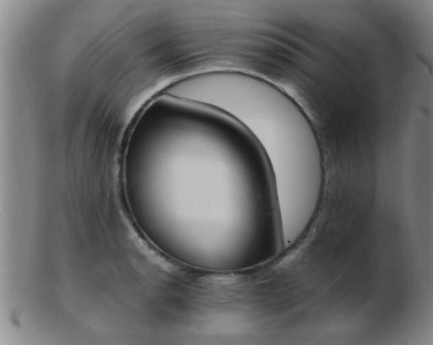 X0000103501134200809191939